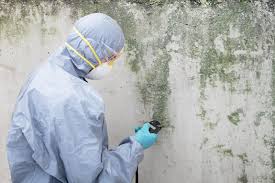 Ephrata, WA Mold Prevention & Removal  Company